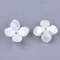Capsules de perles d'acétate de cellulose (résine)&nbsp;X-KK-S161-02A