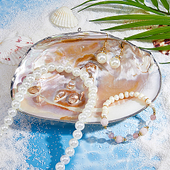 Natürliche Muscheln als Dekoration&nbsp;DIY-WH0899-659B