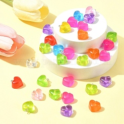 30 Stück transparente Harzanhänger&nbsp;RESI-FS0001-83