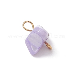 Dijes de conector de concha de tróquido natural teñidos&nbsp;PALLOY-JF04585