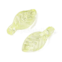 Charms de acrílico transparente&nbsp;TACR-F009-11A