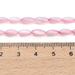 Eau douce naturelle de coquillage perles brins&nbsp;X-SHEL-C010-01E