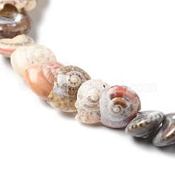 Spirale naturale perline shell fili&nbsp;BSHE-G029-06