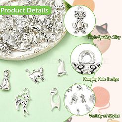 100 pz 10 stili pendenti in lega di stile tibetano&nbsp;FIND-CJ0005-66