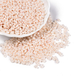 Undurchsichtige Farben Glanz Glas Saatperlen&nbsp;SEED-T006-02H