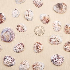 1 Box Jakobsmuschel Muscheln Muschel gefärbte Perlen mit Löchern für Bastelarbeiten 40-50ST&nbsp;BSHE-YW0001-01