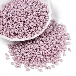 Undurchsichtige Farben Glanz Glas Saatperlen&nbsp;SEED-T006-02E