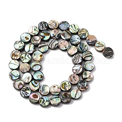 Natur Paua Muschel Perlen Stränge&nbsp;BSHE-ZX006-09B