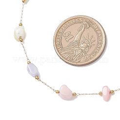 Collares de cadena de eslabones de acero inoxidable 304 y concha natural teñida con pepitas&nbsp;NJEW-JN05449