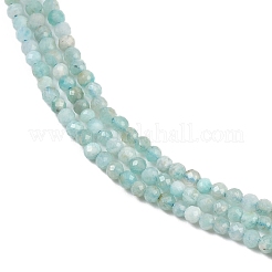 Natur amazonite Perle Stränge&nbsp;G-P279-42-2mm-01