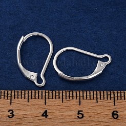 304 Edelstahl-Ohrring-Beschläge mit Klappverschluss&nbsp;STAS-K233-04S