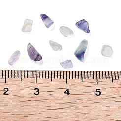 Natürlichen Fluorit Perlen&nbsp;G-L491-03