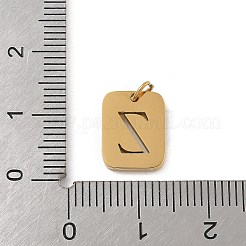 Ciondoli in acciaio inossidabile 304&nbsp;LS-STAS-R001-01G-Z