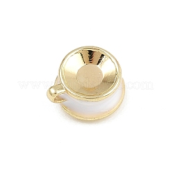 Legierung Emaille Anhänger / charms&nbsp;ENAM-I067-02G-01