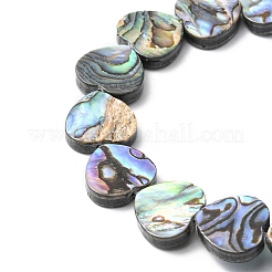 Natur Paua Muschel Perlen Stränge&nbsp;SHEL-F006-04