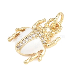 Pendentifs en laiton zircon cubique transparent&nbsp;KK-F938-22B-G05