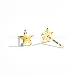 Orecchini in argento sterling&nbsp;EJEW-BB67166-G