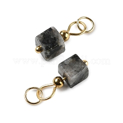 Natur Labradorit Anhänger&nbsp;STAS-Z129-01G-03