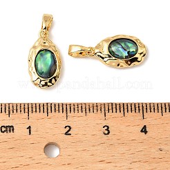 Ovale Anhänger aus natürlicher Paua-Muschel&nbsp;KK-G538-26G
