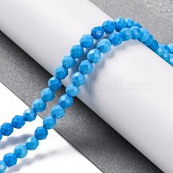 Fili di perline howlite naturale&nbsp;G-C025-02C-10