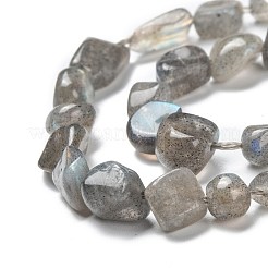 Natur Labradorit Perlen Stränge&nbsp;G-G018-24