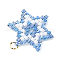 Colgantes de cuentas de semillas de vidrio&nbsp;PALLOY-MZ01457-01