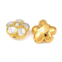 Perlas naturales y cuentas de concha blanca&nbsp;KK-H516-10G