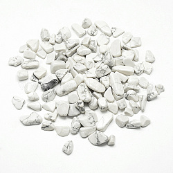Perles d'howlite naturelle, pas de trous / non percés, puce, 5~20x5~10x3~10mm, environ 850 pcs/1000 g