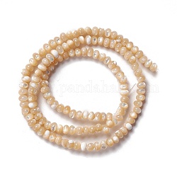 Fili di perle di conchiglia trochid naturale / trochus, abaco perline, rondelle, navajo bianco, 3x4~4.5mm, Foro: 0.9 mm, circa 135pcs/filo, 15.94 pollice (40.5 cm)