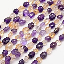 Quartz naturel brins de perles, pierre roulée, pépites, colorées, 8~10x8~10mm, Trou: 1mm, environ 15.74 pouce