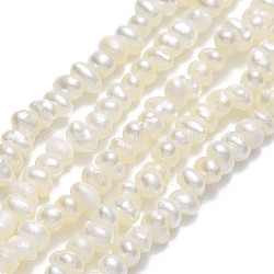Fili di perle di perle d'acqua dolce coltivate naturali, perline di perle keshi, pepite, biancheria, 3~4x3x2~2.5mm, Foro: 0.5 mm, circa 156~163pcs/filo, 14.17~14.29'' (36~36.3 cm)