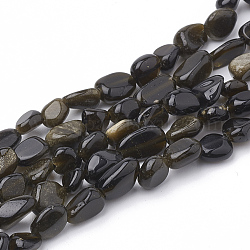 Chapelets de perles en obsidienne dorée naturelle, pépites, 3~14x2~9x2.5~8mm, trou: 1mm, environ 50~55 pcs/chapelet, 15.94''