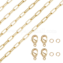 Beebeecraft kit de fabrication de collier de bracelet de chaîne de bricolage, y compris les chaînes de trombones en laiton et les fermoirs à pince de homard, Anneaux de jonction en 304 acier inoxydable, or, chaîne : 2m/boîte