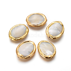 Muschel perlen, mit vergoldenden Messing Zubehör, Oval, Blumenweiß, golden, 24~25x19~21x4~5 mm, Bohrung: 0.8 mm