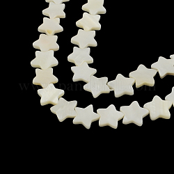 Sternförmige natürliche Muschelperlenstränge, 14~15x15~16x2.5~4 mm, Bohrung: 1 mm, ca. 30 Stk. / Strang, 15.7