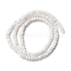 Fili di perle di conchiglia trochid naturale / trochus, abaco perline, rondelle, colore conchiglia, 3x4~4.5mm, Foro: 0.9 mm, circa 135pcs/filo, 15.94 pollice (40.5 cm)