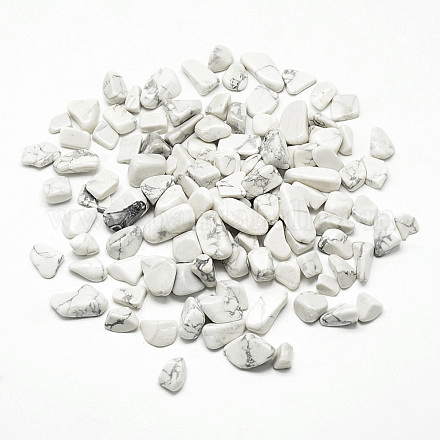 Natürliche Howlith Perlen G-Q947-23-1