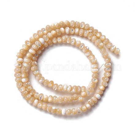 Fili di perle di conchiglia trochid naturale / trochus SSHEL-O001-24B-01-1