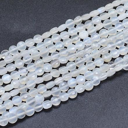 Natürlichen weißen Mondstein Perlen Stränge G-E530-07P-1