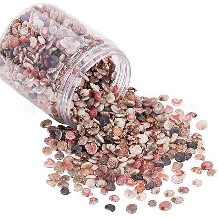 PandaHall Elite about 190g Colorful Tiny Sea Shell Ocean Beach Spiral Seashells Craft Charms for Candle Making Home Decoration Beach Theme Party Wedding Decor SSHEL-PH0002-34-1