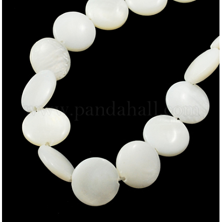Chapelets de perles de coquillage naturel X-PBB-XXBK023Y-13-1