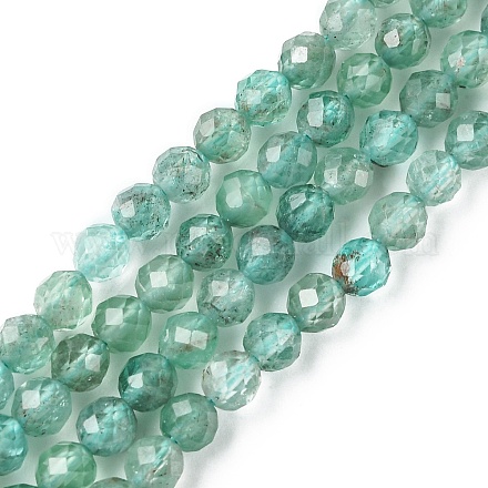 Chapelets de perles en apatite naturelle G-F748-J01-02-1