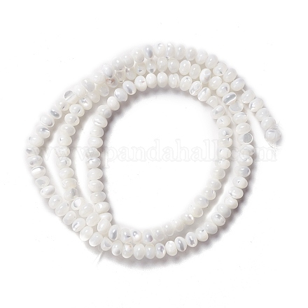 Fili di perle di conchiglia trochid naturale / trochus SSHEL-O001-24B-02-1