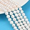 Natural Cultured Freshwater Pearl Beads Strands, Potato, Grade 2A+, Seashell Color, 7~8mm, Hole: 0.7mm, about 54~55pcs/strand, 14.09~14.37 inch(35.8~36.5cm)