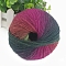 Gradient Color Wool Thread, Section Dyed Icelandic Wool Thread, Soft and Warm, for Hand-woven Shawl Scarf Hat, Colorful, 2mm