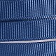 Solid Color Polyester Grosgrain Ribbon SRIB-D014-G-365-2