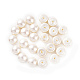 Perles de coquille semi-percée X-BSHE-G011-01-12mm-2
