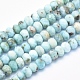 Natural Larimar Beads Strands G-K256-57C-1