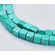 Natural Magnesite Beads Strands TURQ-K003-24-2