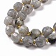 Natural Labradorite Beads Strands G-G990-F04-4